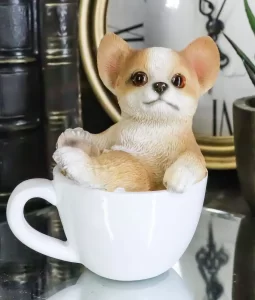 Teacup Chihuahua